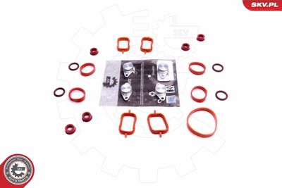 Repair Kit, intake manifold module ESEN SKV 49SKV564