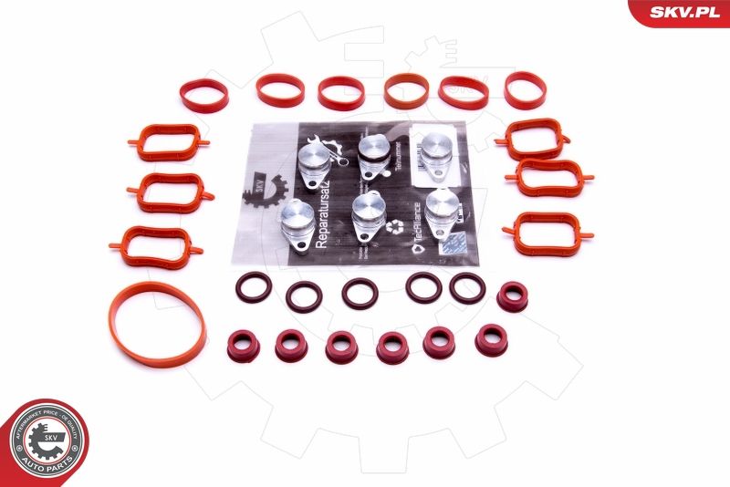 ESEN SKV 49SKV565 Repair Kit, intake manifold module