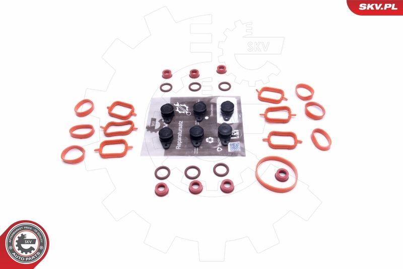 ESEN SKV 49SKV566 Repair Kit, intake manifold module