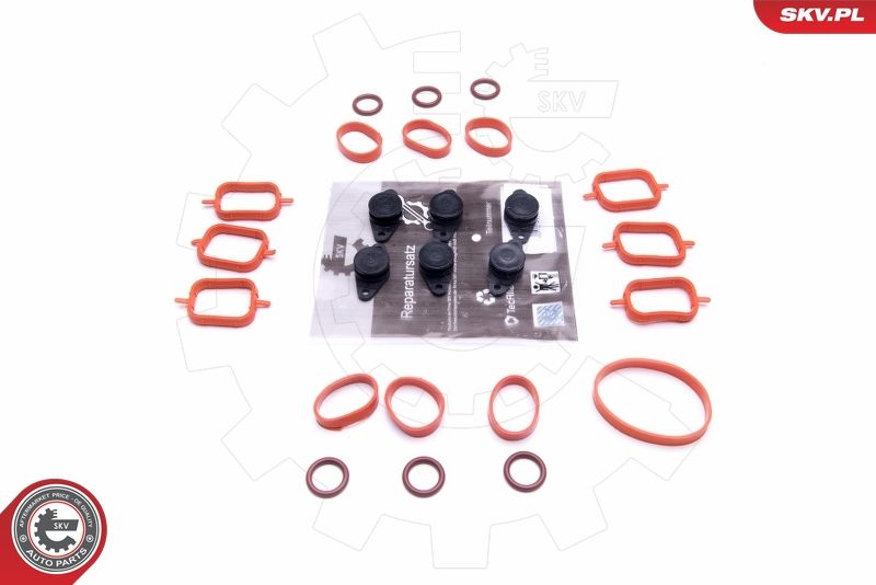 ESEN SKV 49SKV567 Repair Kit, intake manifold module