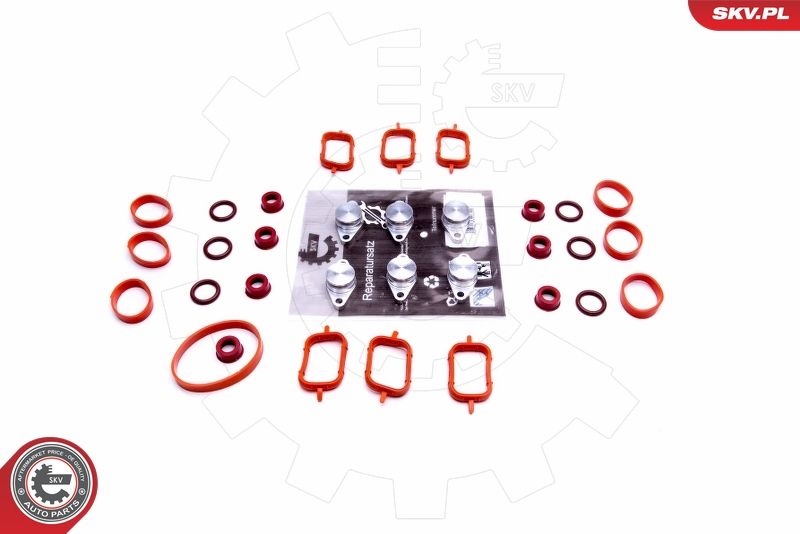 ESEN SKV 49SKV568 Repair Kit, intake manifold module