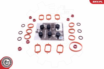Repair Kit, intake manifold module ESEN SKV 49SKV569