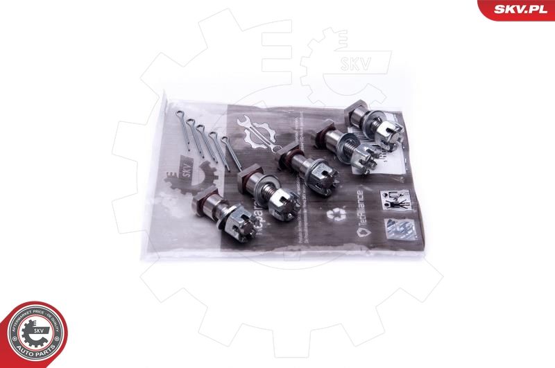 ESEN SKV 49SKV571 Repair Kit, intake manifold module