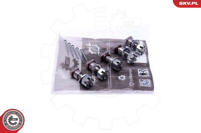 Repair Kit, intake manifold module ESEN SKV 49SKV571
