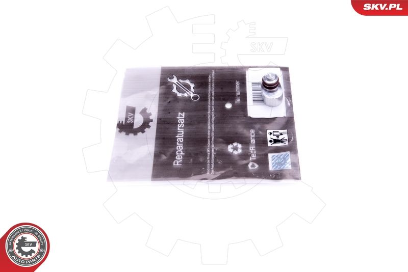 ESEN SKV 49SKV635 Repair Kit, intake manifold module