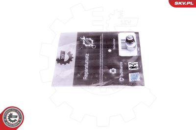 Repair Kit, intake manifold module ESEN SKV 49SKV635