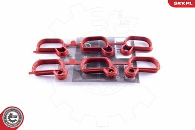 Repair Kit, intake manifold module ESEN SKV 49SKV651