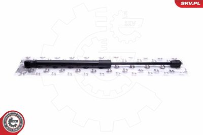 Gas Spring, bonnet ESEN SKV 52SKV080
