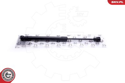 Gas Spring, bonnet ESEN SKV 52SKV121