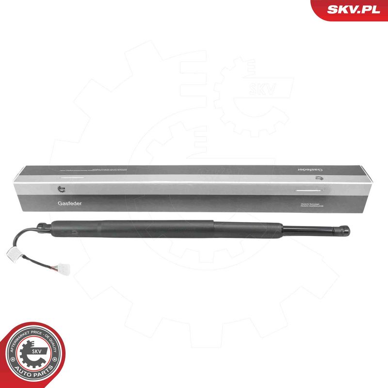 ESEN SKV 52SKV164 Electric Motor, tailgate