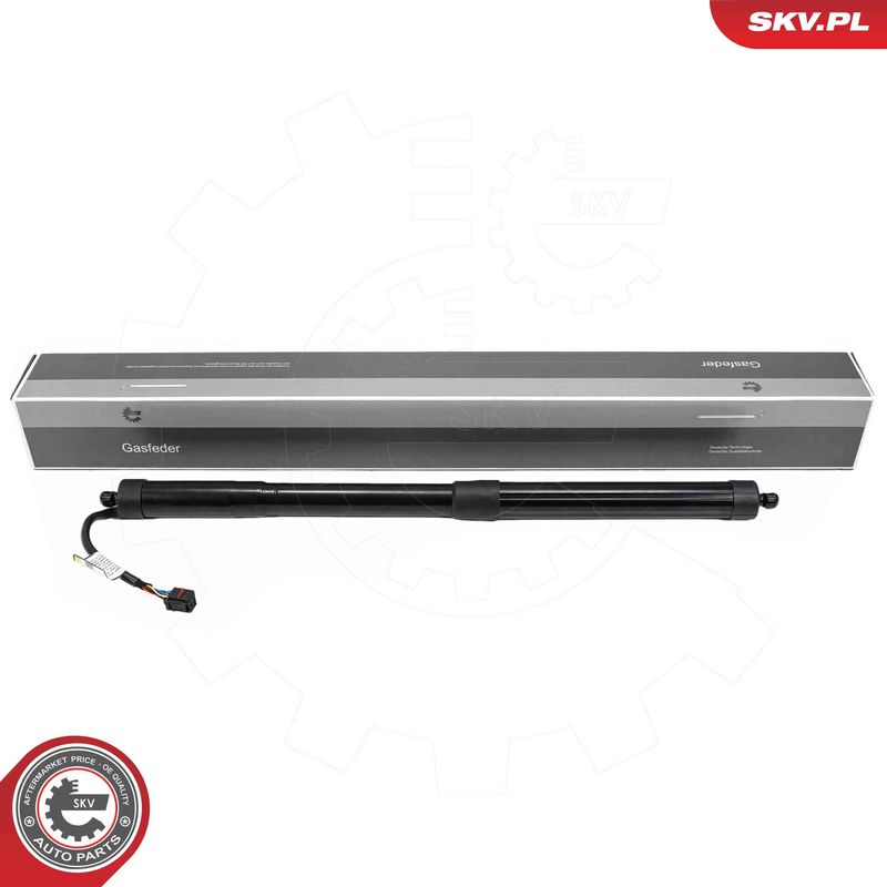 ESEN SKV 52SKV166 Electric Motor, tailgate