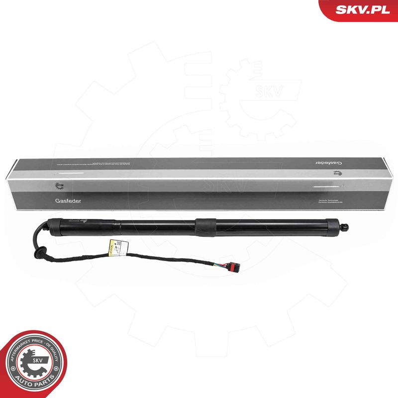 ESEN SKV 52SKV168 Electric Motor, tailgate