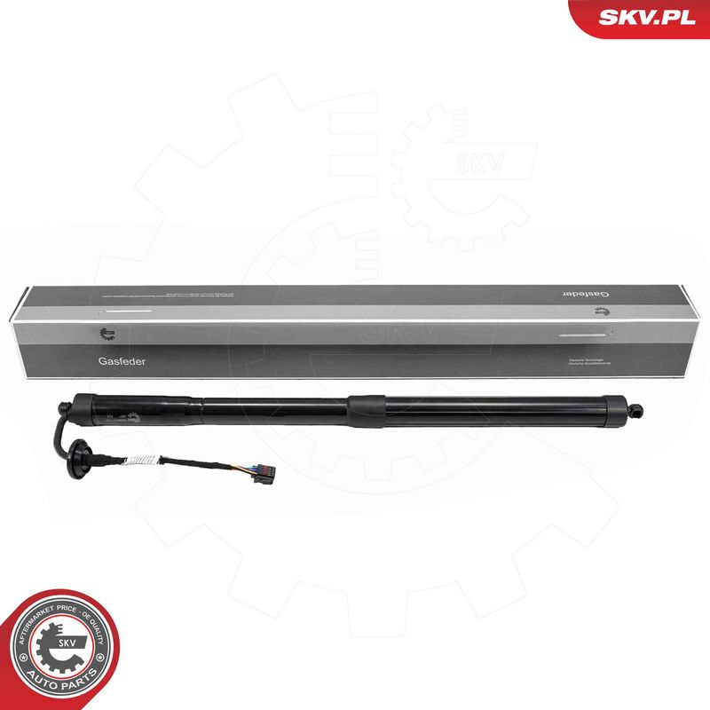ESEN SKV 52SKV170 Electric Motor, tailgate