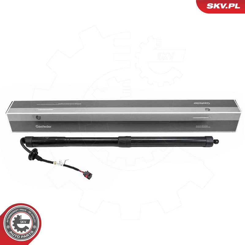ESEN SKV 52SKV171 Electric Motor, tailgate