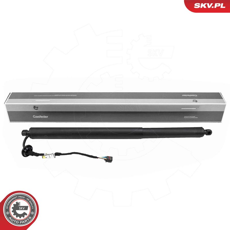 ESEN SKV 52SKV172 Electric Motor, tailgate