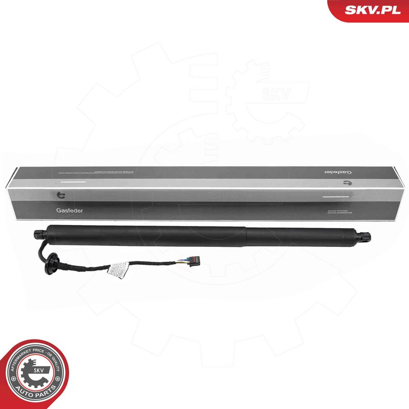 ESEN SKV 52SKV173 Electric Motor, tailgate