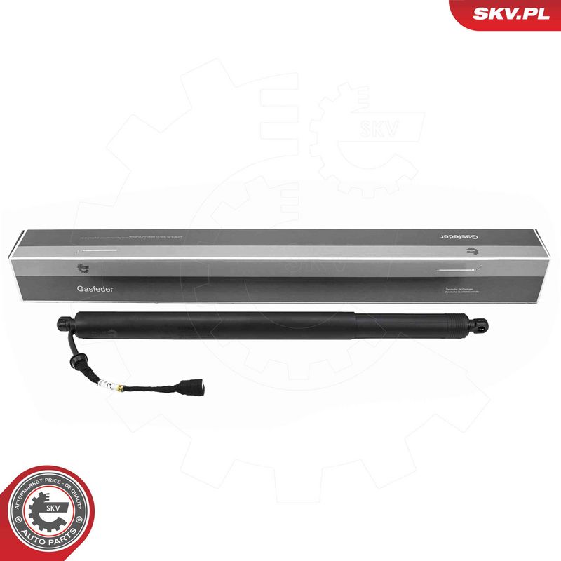 ESEN SKV 52SKV175 Electric Motor, tailgate
