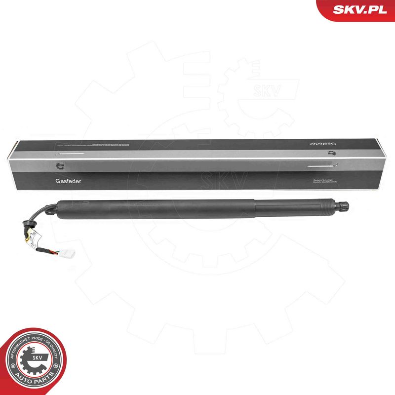 ESEN SKV 52SKV176 Electric Motor, tailgate