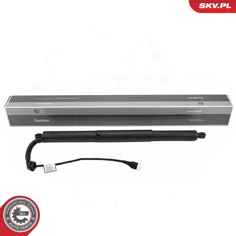 ESEN SKV 52SKV177 Electric Motor, tailgate