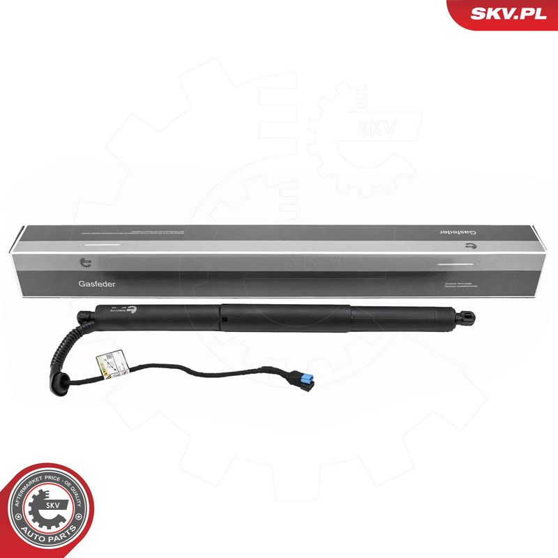 ESEN SKV 52SKV178 Electric Motor, tailgate