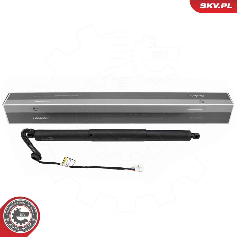 ESEN SKV 52SKV179 Electric Motor, tailgate
