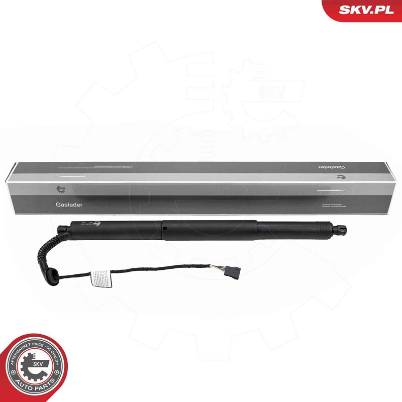 ESEN SKV 52SKV180 Electric Motor, tailgate