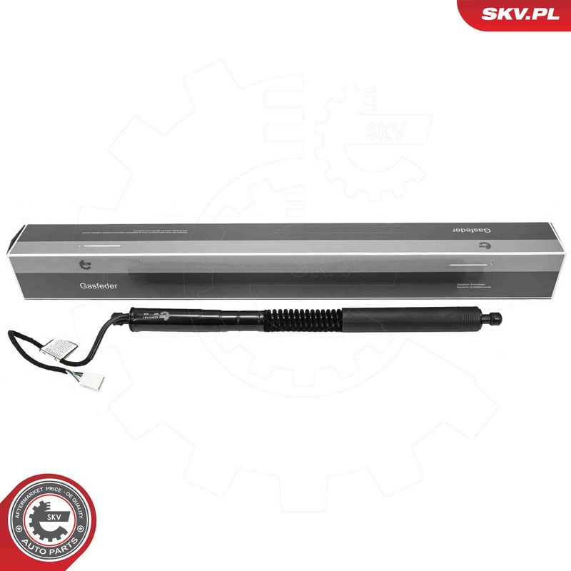 ESEN SKV 52SKV181 Electric Motor, tailgate