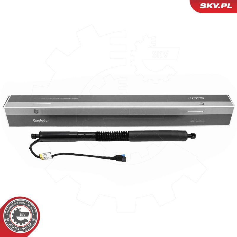 ESEN SKV 52SKV182 Electric Motor, tailgate