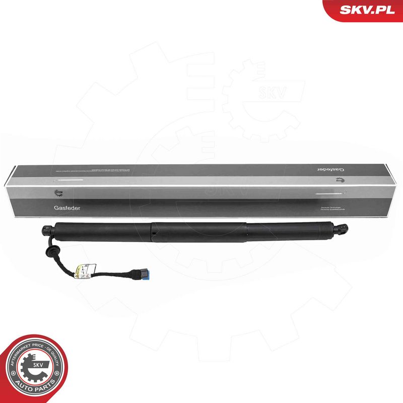 ESEN SKV 52SKV183 Electric Motor, tailgate