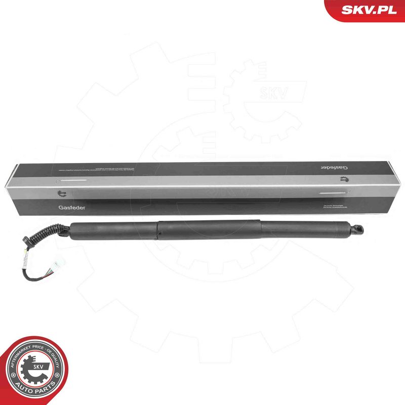 ESEN SKV 52SKV184 Electric Motor, tailgate