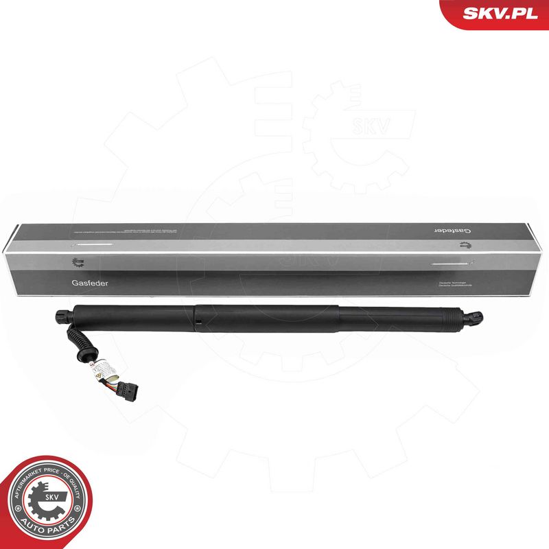 ESEN SKV 52SKV185 Electric Motor, tailgate