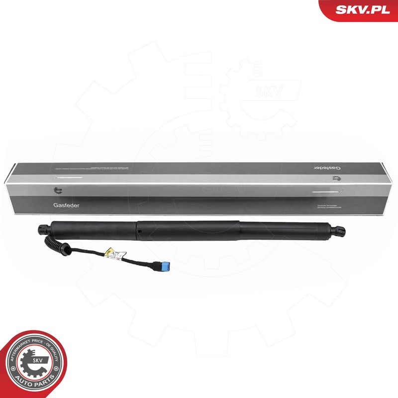 ESEN SKV 52SKV186 Electric Motor, tailgate