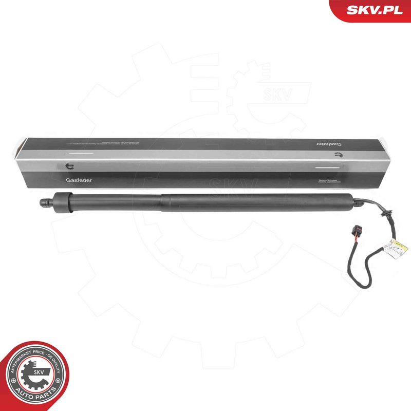 ESEN SKV 52SKV187 Electric Motor, tailgate