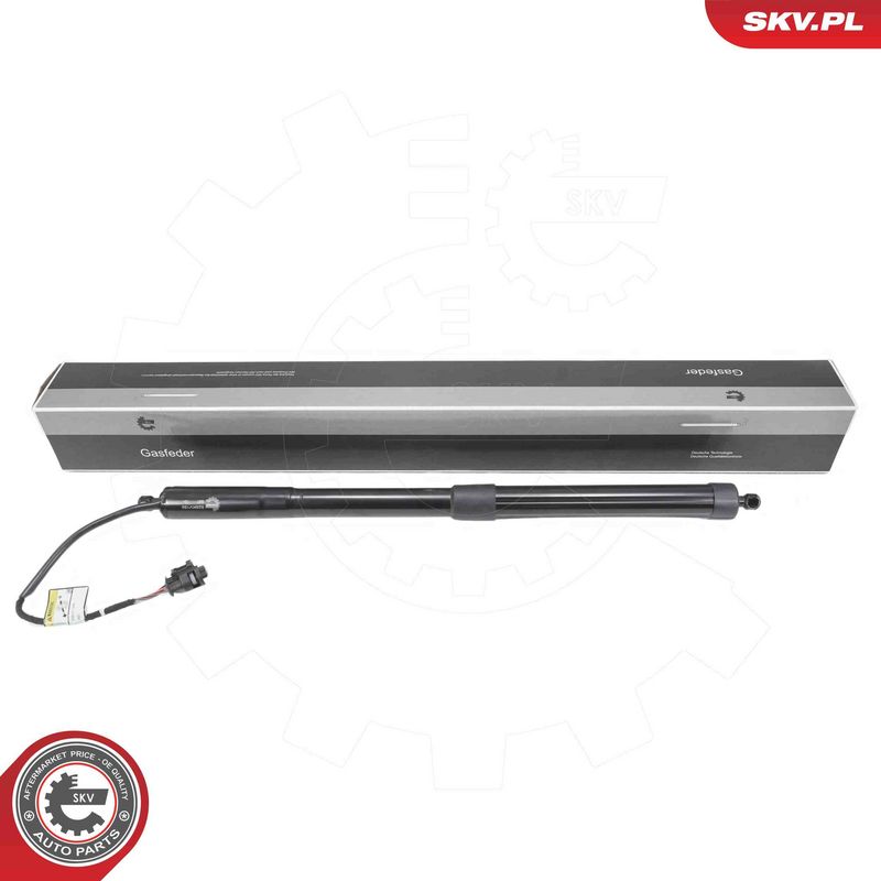 ESEN SKV 52SKV188 Electric Motor, tailgate