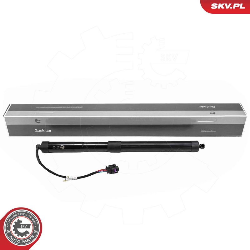 ESEN SKV 52SKV189 Electric Motor, tailgate