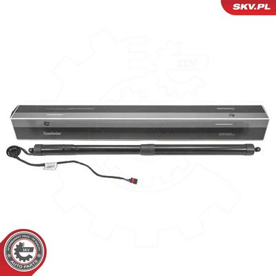 Electric Motor, tailgate ESEN SKV 52SKV191