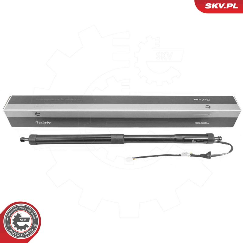 ESEN SKV 52SKV192 Electric Motor, tailgate