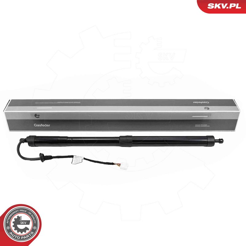 ESEN SKV 52SKV193 Electric Motor, tailgate