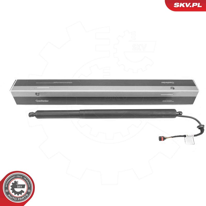 ESEN SKV 52SKV194 Electric Motor, tailgate