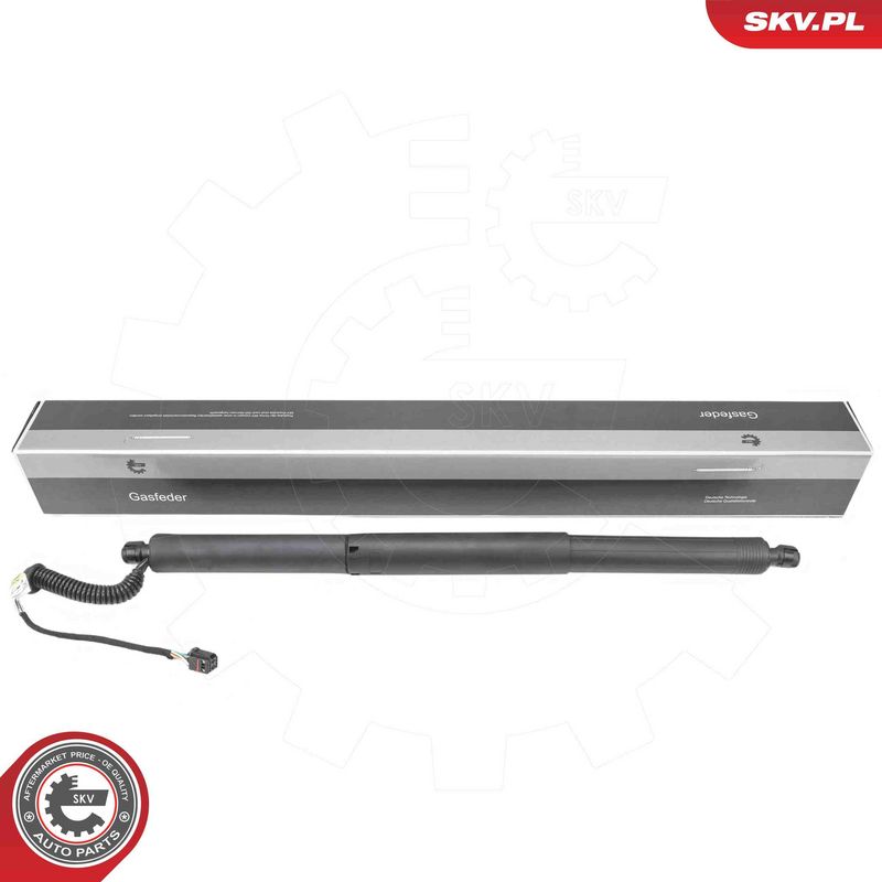 ESEN SKV 52SKV195 Electric Motor, tailgate