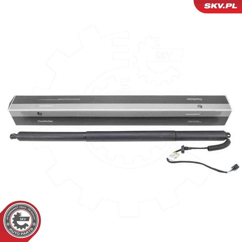 ESEN SKV 52SKV196 Electric Motor, tailgate
