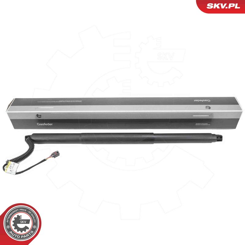 ESEN SKV 52SKV197 Electric Motor, tailgate