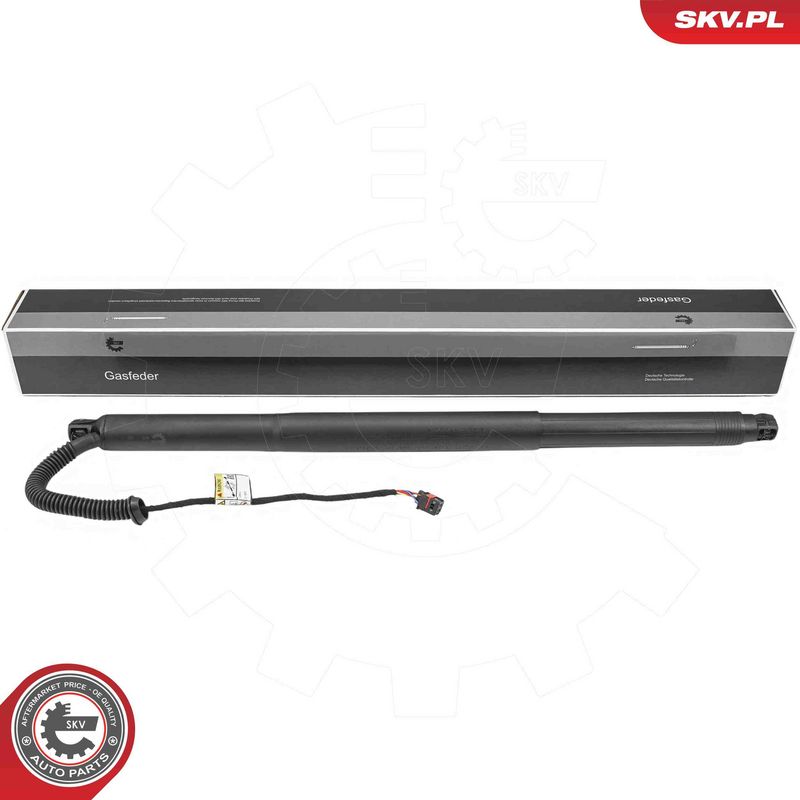 ESEN SKV 52SKV198 Electric Motor, tailgate