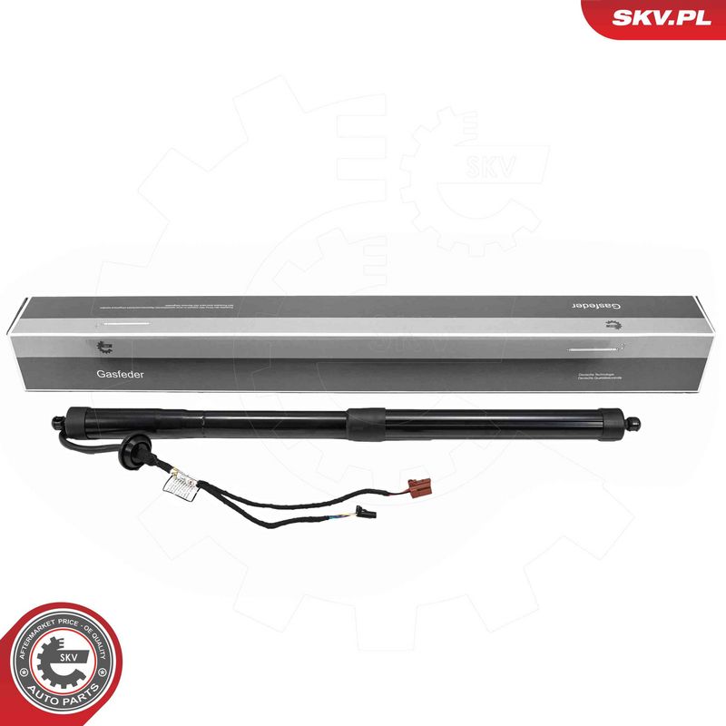 ESEN SKV 52SKV200 Electric Motor, tailgate