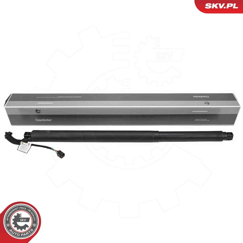 ESEN SKV 52SKV201 Electric Motor, tailgate