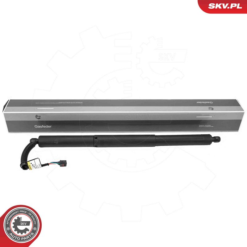 ESEN SKV 52SKV205 Electric Motor, tailgate