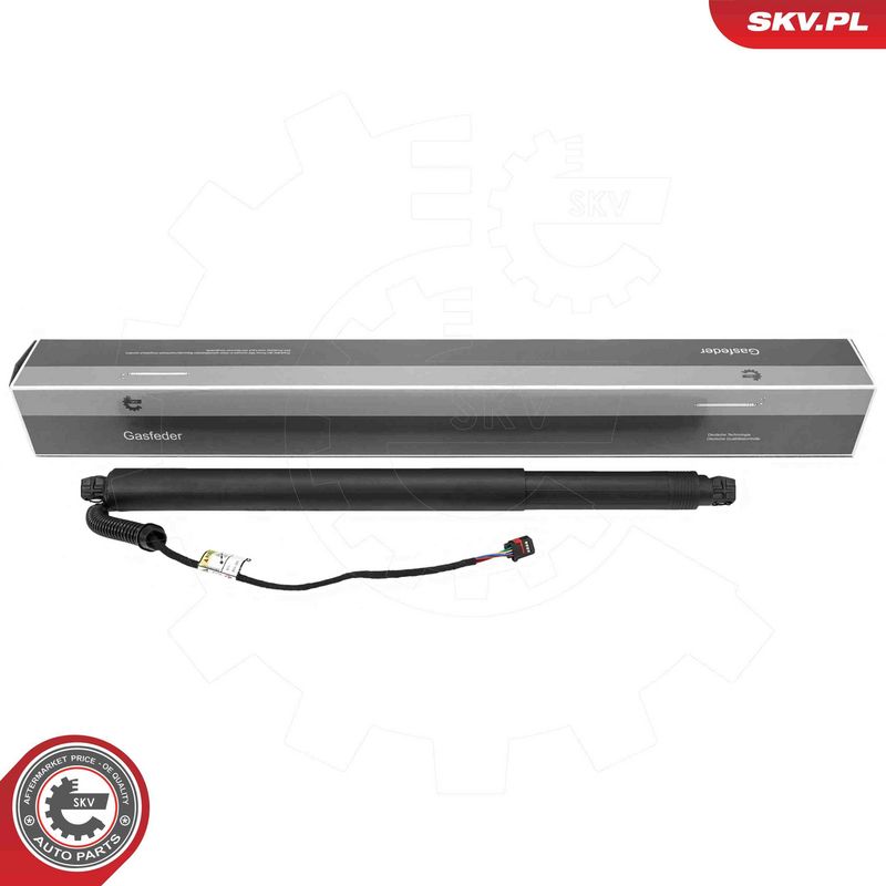 ESEN SKV 52SKV206 Electric Motor, tailgate
