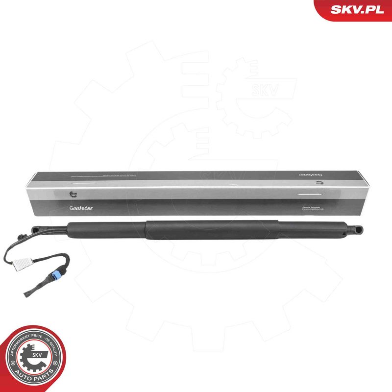 ESEN SKV 52SKV208 Electric Motor, tailgate