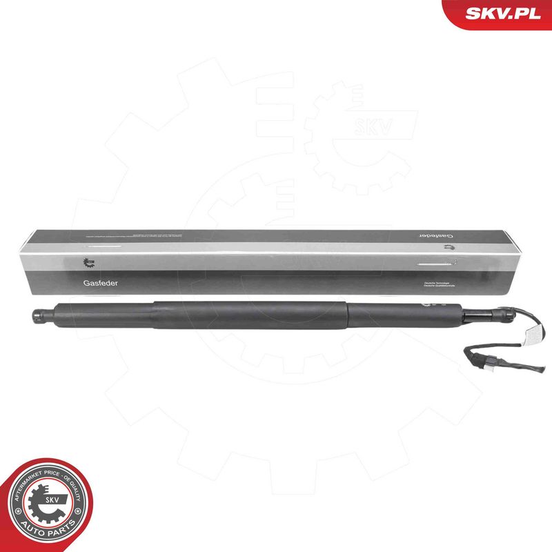 ESEN SKV 52SKV209 Electric Motor, tailgate