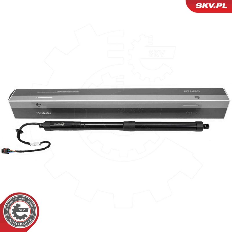 ESEN SKV 52SKV210 Electric Motor, tailgate